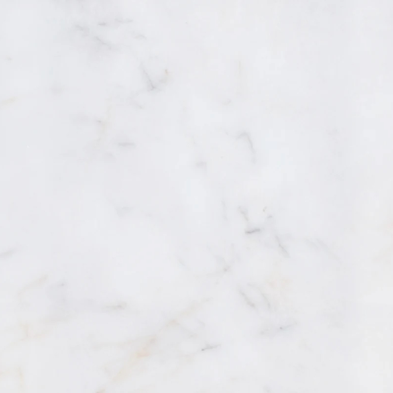 Tuile de dalles de quartzite blanc Arctic Glacier avec veinage noir