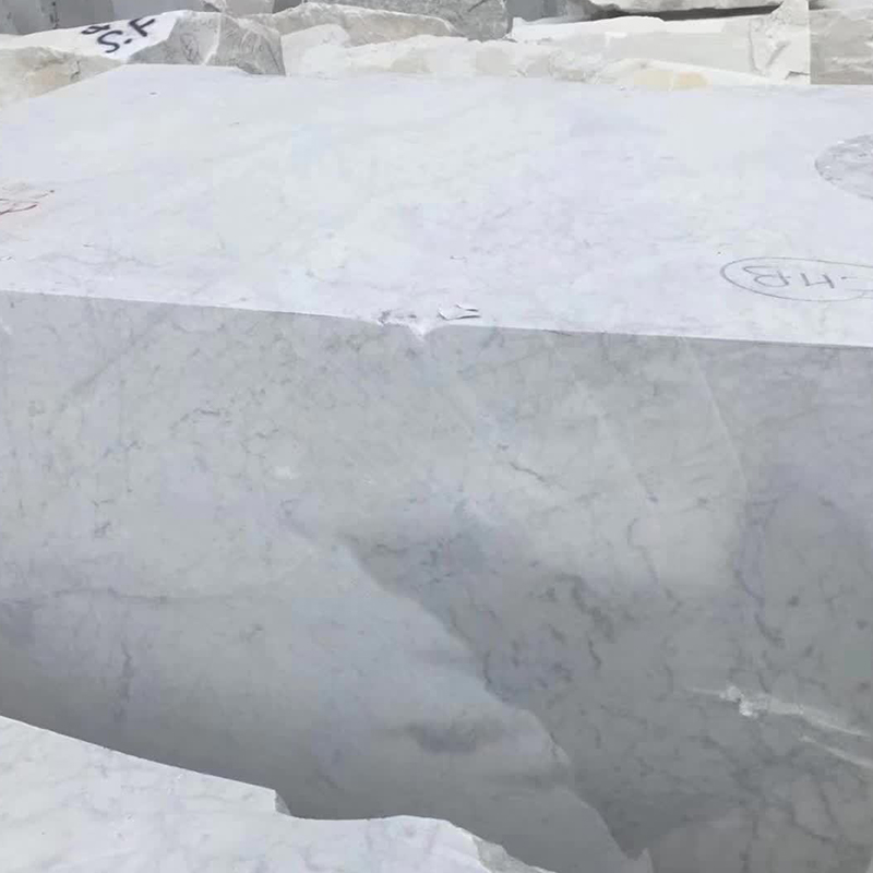 Dalles de comptoirs en marbre blanc avec des veines grises