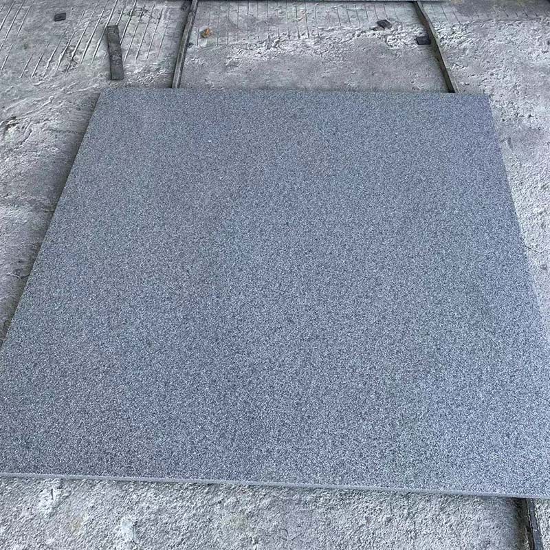 Carreaux de granit gris 654