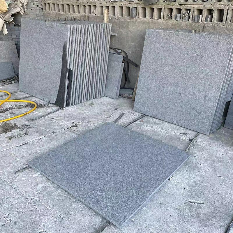 Carreaux de granit gris 654