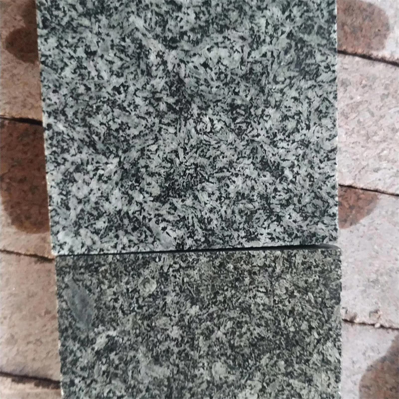 Granit vert de la forêt tropicale