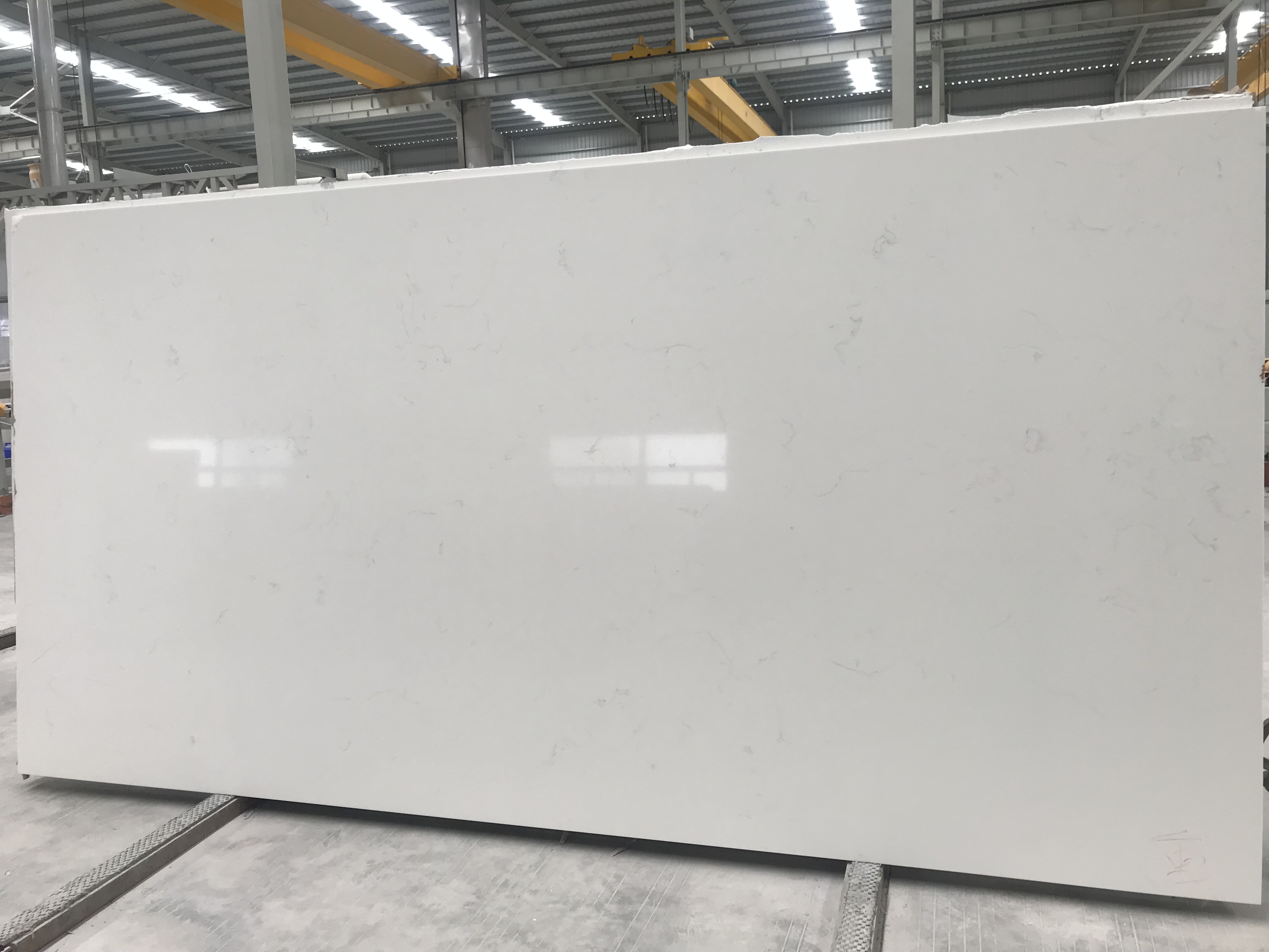 5021 Alasky Quartz Slabs