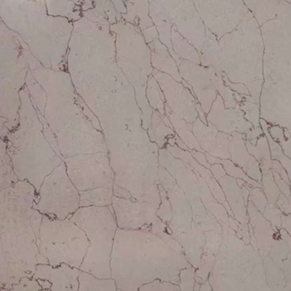 Marbre beige Persia Shell