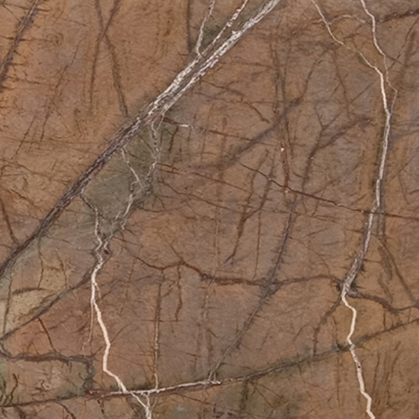 Forêt Brune