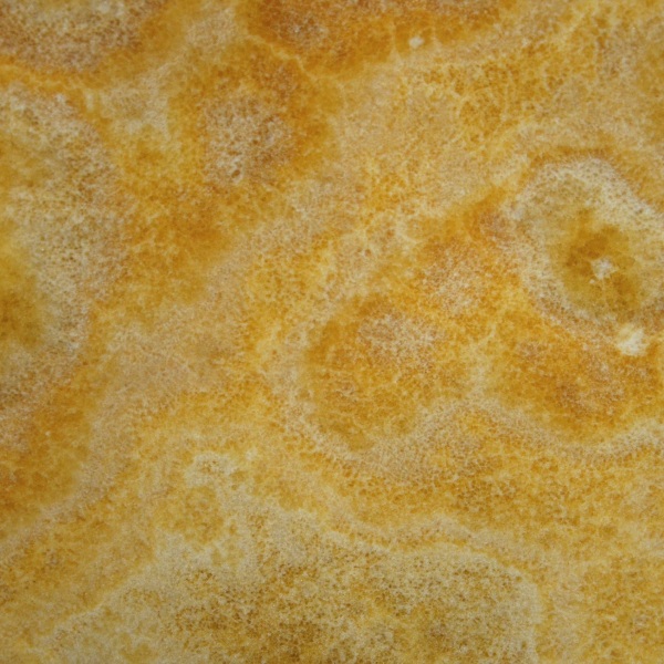 Onyx orange